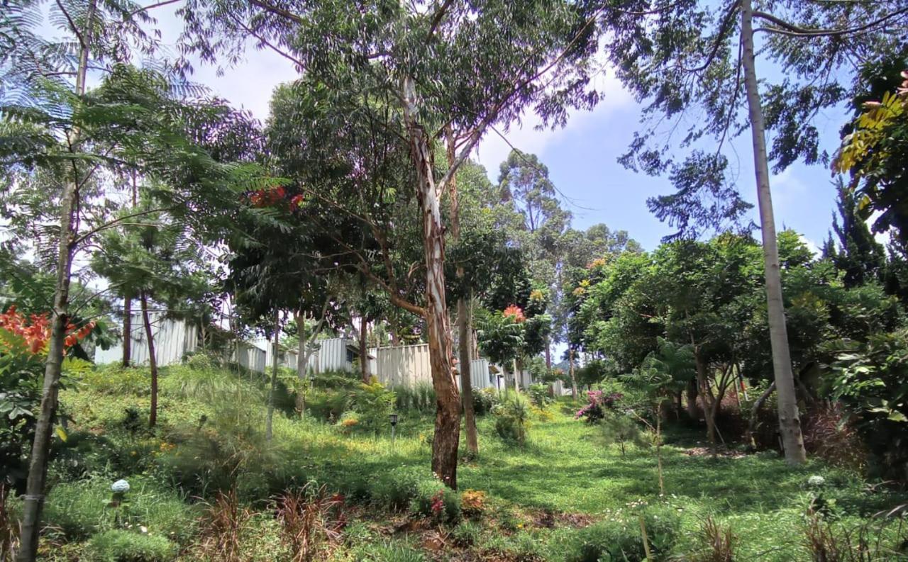 Hotel Bukit Pinus Tegalharendong Exteriér fotografie