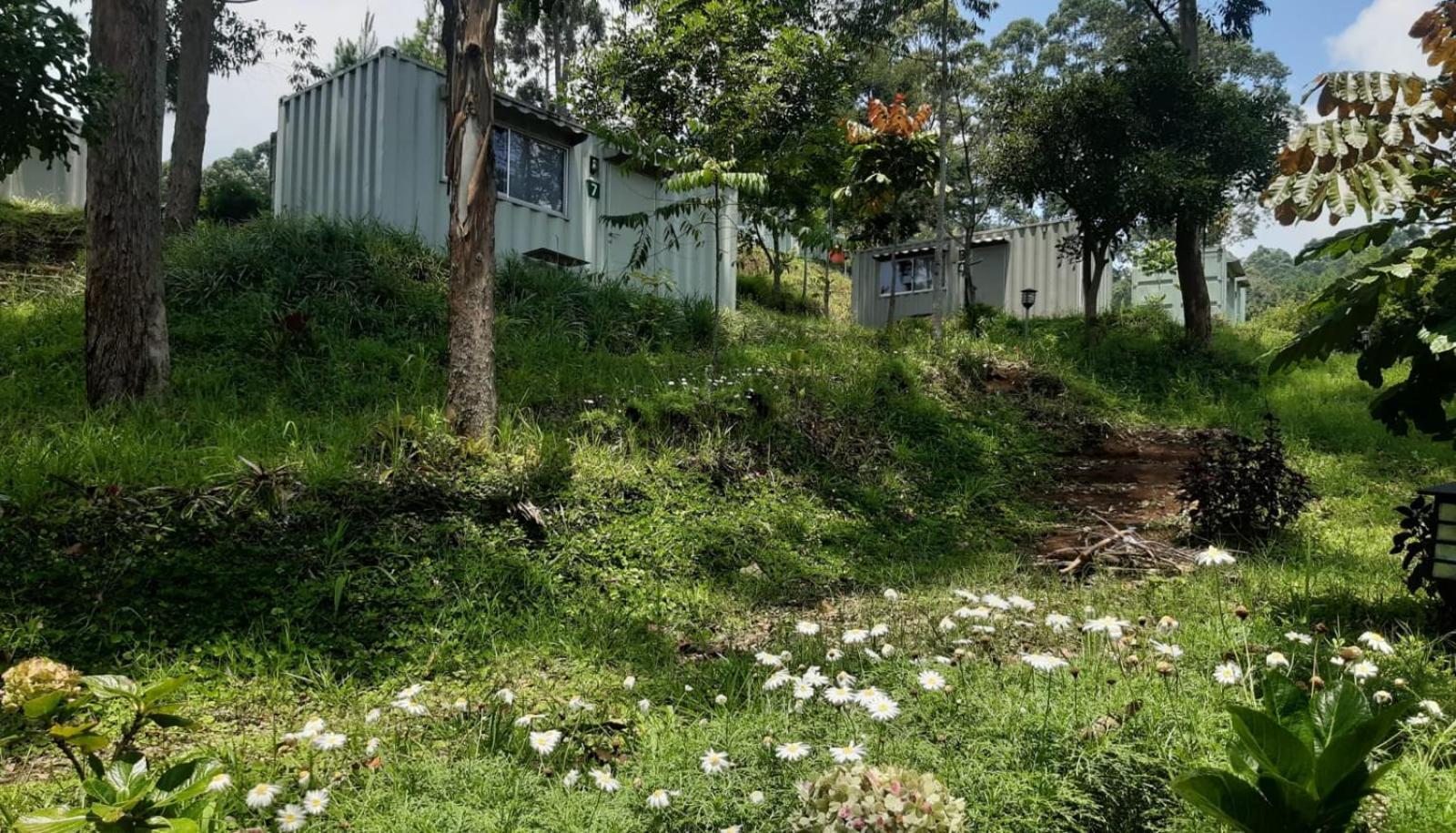 Hotel Bukit Pinus Tegalharendong Exteriér fotografie