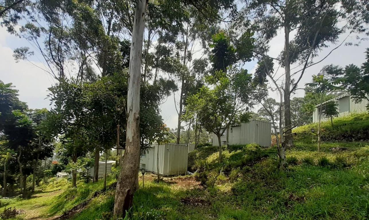 Hotel Bukit Pinus Tegalharendong Exteriér fotografie