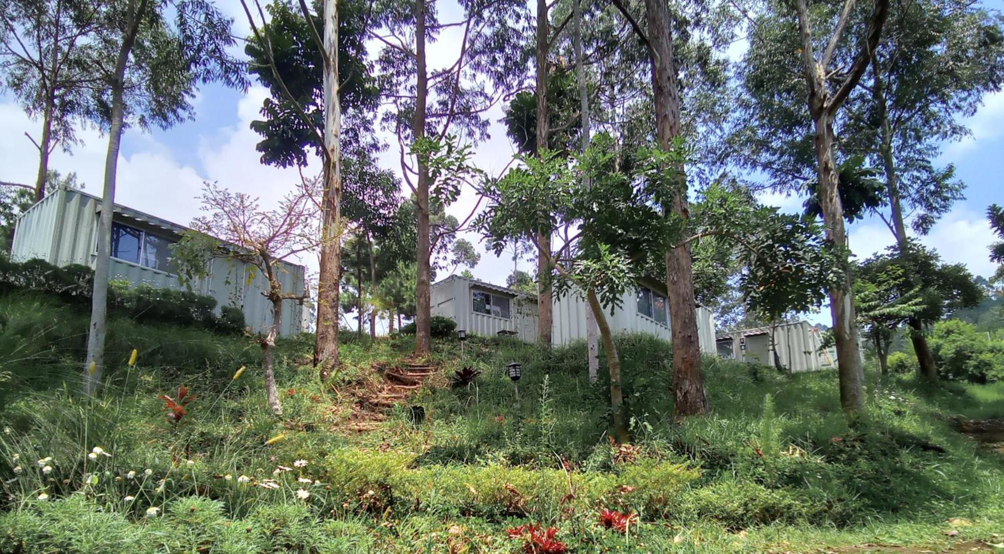 Hotel Bukit Pinus Tegalharendong Exteriér fotografie